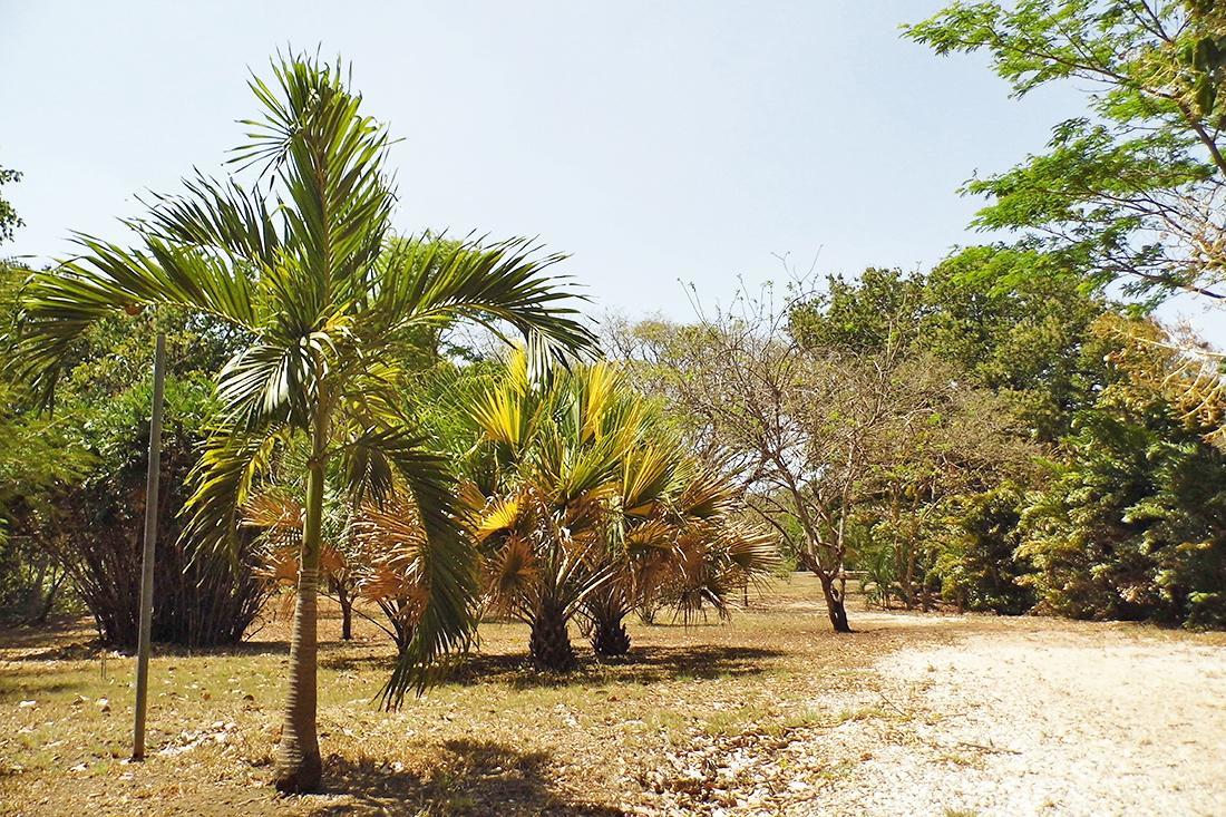 Hotel Rio Tempisque Nicoya Bagian luar foto